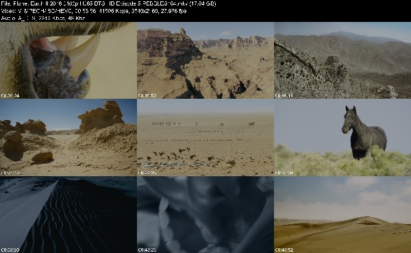 320152319_planet-earth-ii-2016-2160p-h265-dts-hd-episode-5-pebbles104.jpg