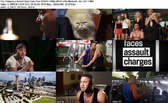 320312725_dangerous-breed-crime-cons-cats-s01e01-1080p-hevc-x265-megusta.jpg