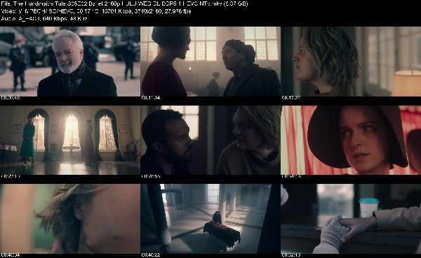 317983393_the-handmaids-tale-s05-2160p-hulu-web-dl-ddp5-1-h-265-ntb.jpg