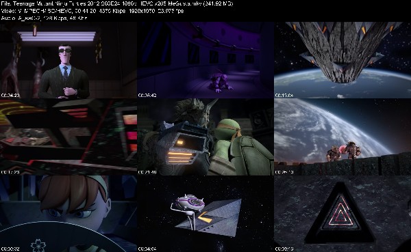 328593928_teenage-mutant-ninja-turtles-2012-s03e24-1080p-hevc-x265-megusta.jpg